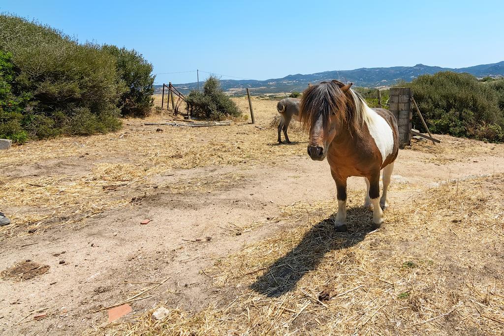 Agriturismo Lu Nodu Greuli Ngoại thất bức ảnh