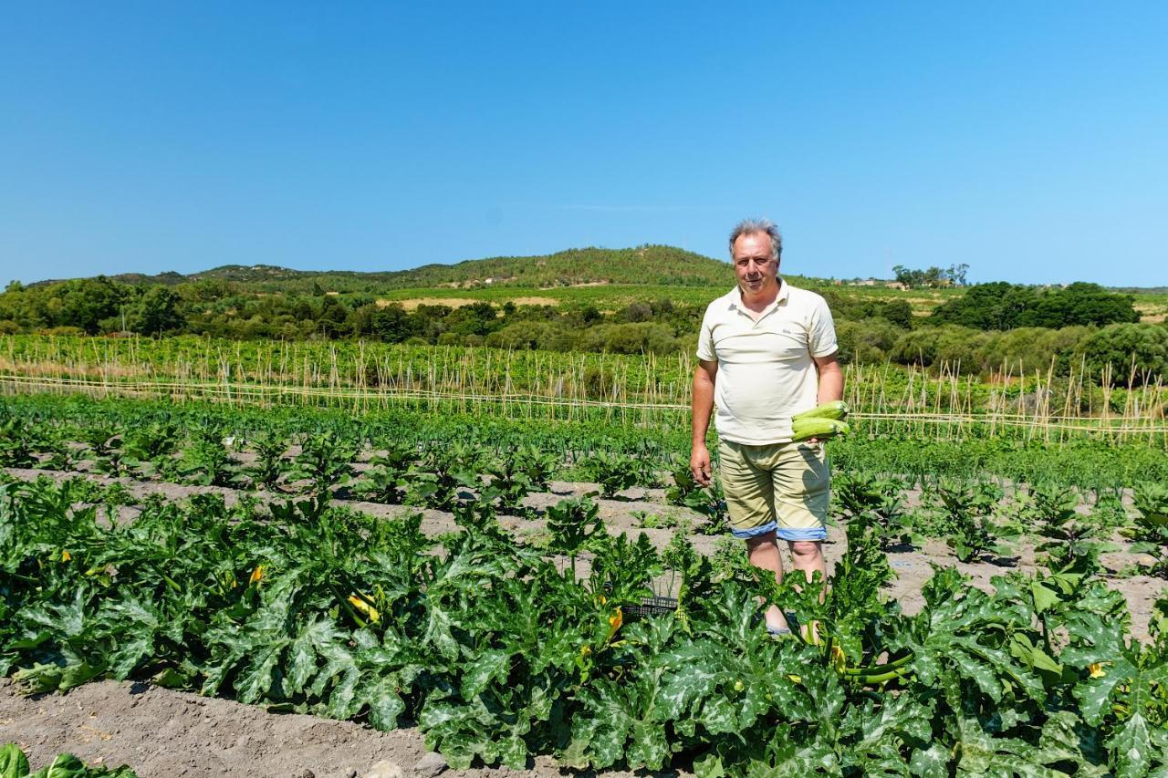 Agriturismo Lu Nodu Greuli Ngoại thất bức ảnh